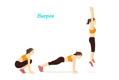 Burpee